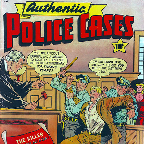 Authentic Police Cases #13